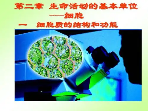 细胞质和细胞核