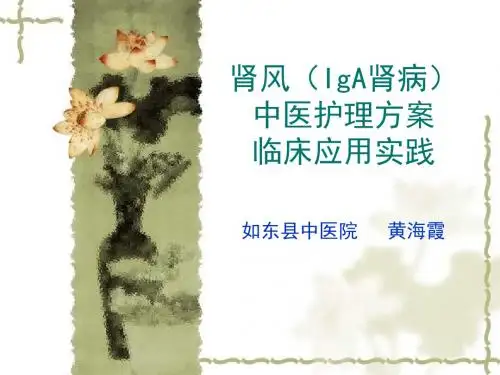 肾风IgA肾病中医护理方案临床应用实践