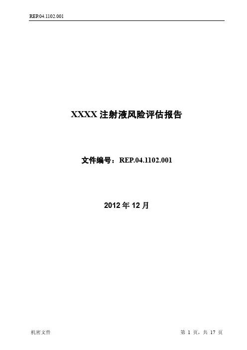 新版注射液风险评估报告【精选】