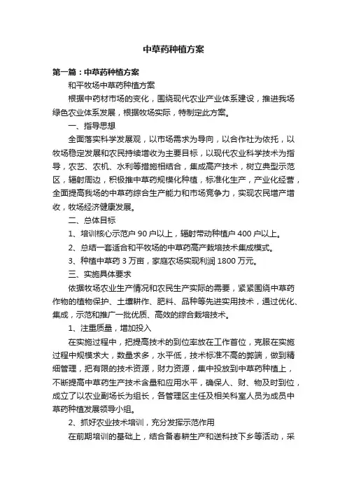 中草药种植方案