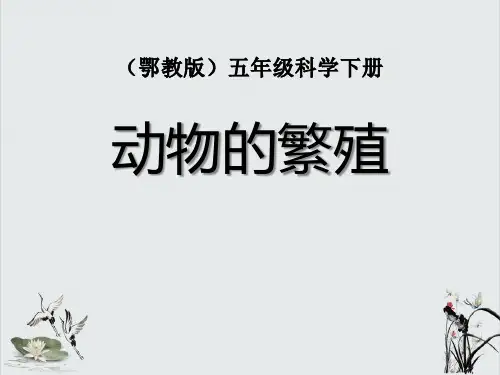 《动物的繁殖》PPT课件