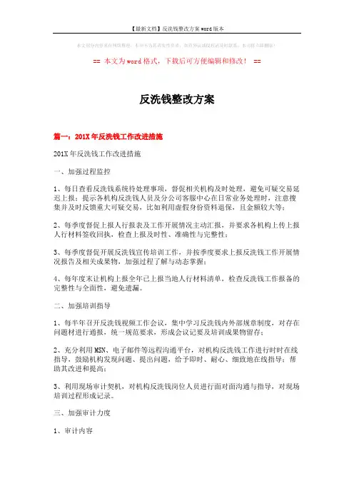 【最新文档】反洗钱整改方案word版本 (7页)