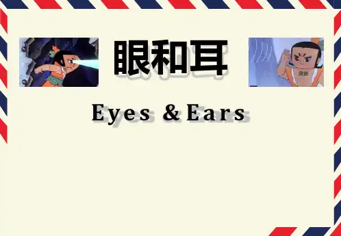 【课件-组织学与胚胎学】_17.眼和耳