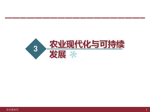 农业现代化与可持续发展[PPT课件]