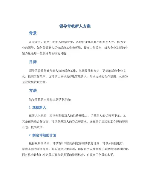 领导带教新人方案