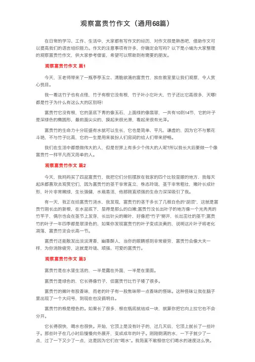 观察富贵竹作文（通用68篇）