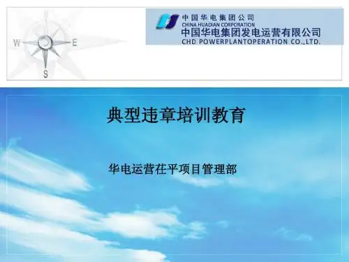 华电运营茌平项目典型违章培训课件