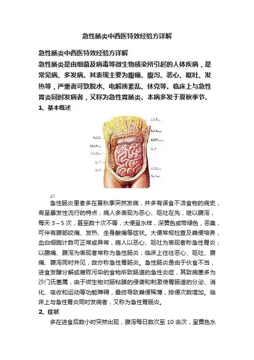 急性肠炎中西医特效经验方详解