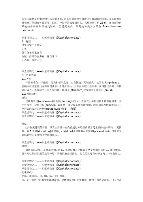 原索动物