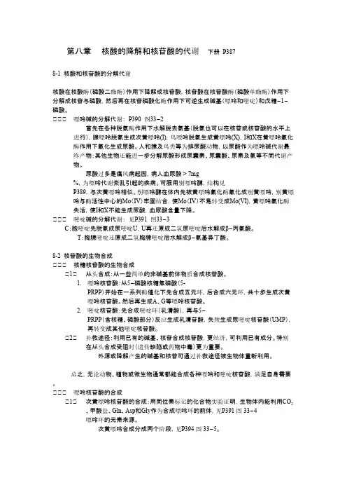 生物化学-生化知识点_第八章  核酸的降解和核苷酸的代谢