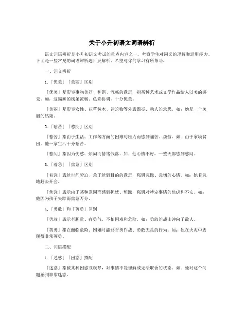 关于小升初语文词语辨析