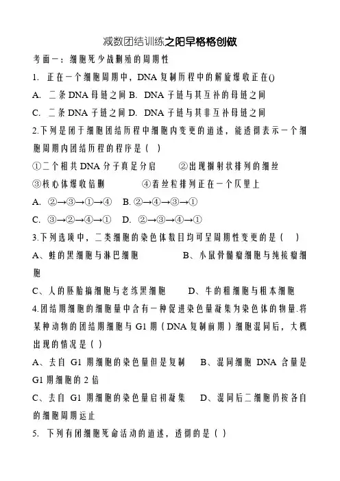 有丝分裂与减数分裂高考题分类整理(附答案)