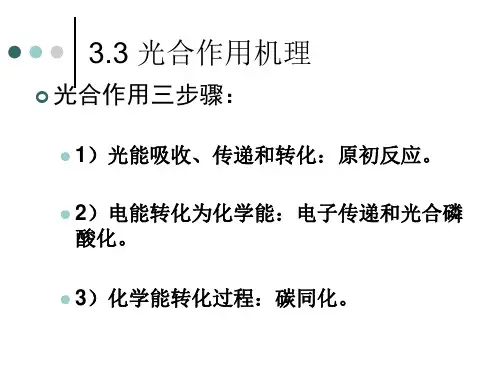 植物生理学第3章 植物的光合作用(二)