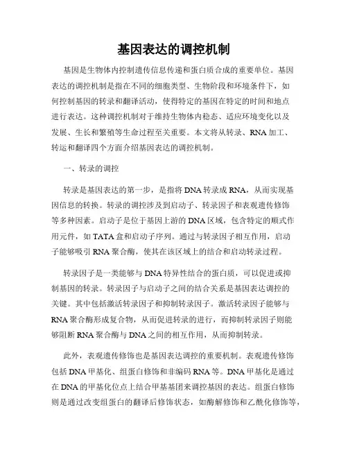 基因表达的调控机制