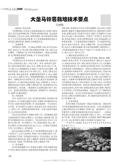 大垄马铃薯栽培技术要点