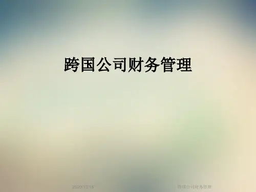 跨国公司财务管理