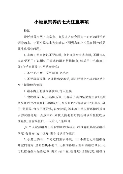 小松鼠饲养的七大注意事项