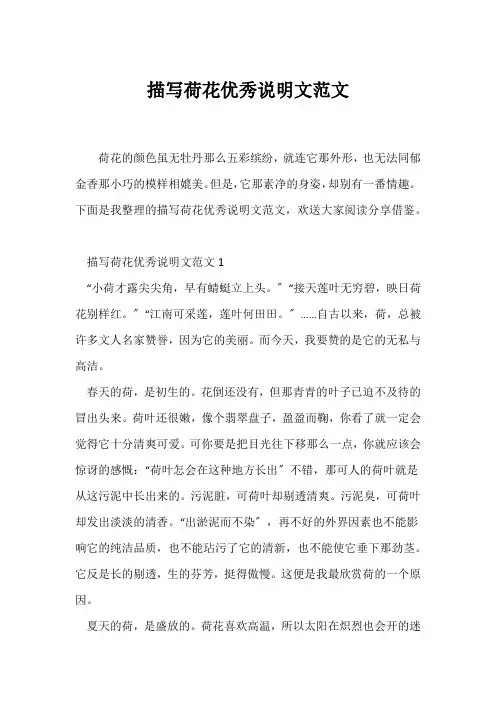 (说明文)描写荷花优秀说明文范文