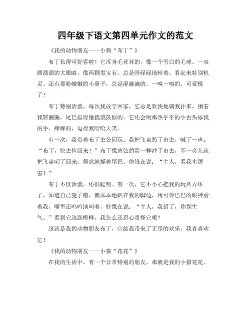 四年级下语文第四单元作文的范文