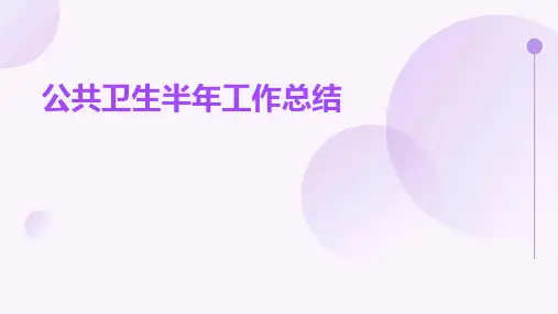 公共卫生半年工作总结PPT