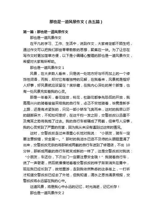 那也是一道风景作文（含五篇）