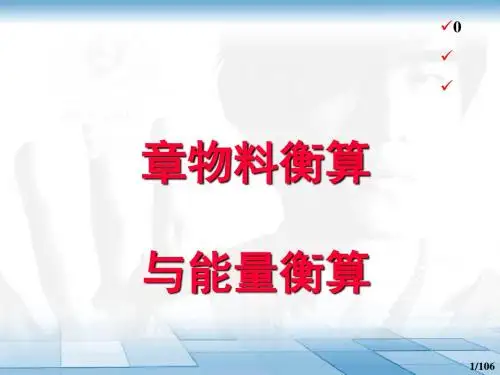 物料衡算与能量衡算概论(PPT 108页)