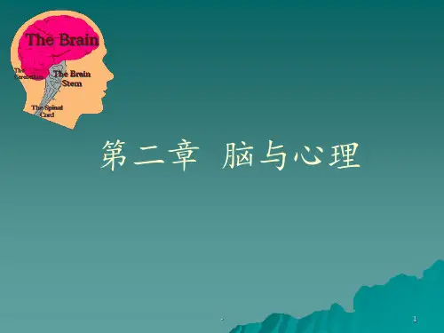 第二章脑与心理PPT课件