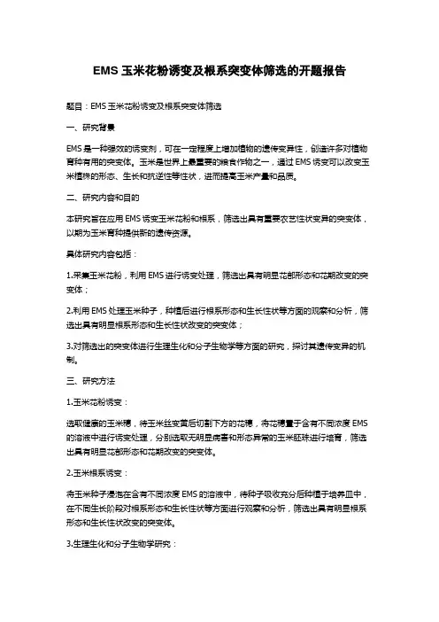 EMS玉米花粉诱变及根系突变体筛选的开题报告