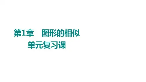 第1章 图形的相似 单元复习课  青岛版数学九年级上册