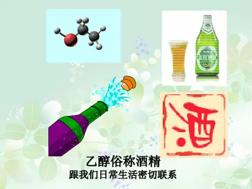乙醇 醇类PPT教学课件