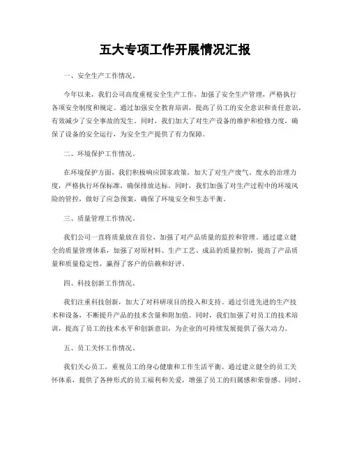 五大专项工作开展情况汇报