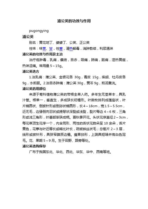 浦公英的功效与作用