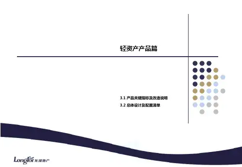 龙湖冠寓方案评审会模板(轻资产)