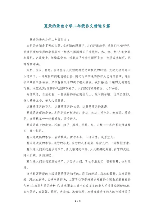 夏天的景色小学二年级作文精选5篇