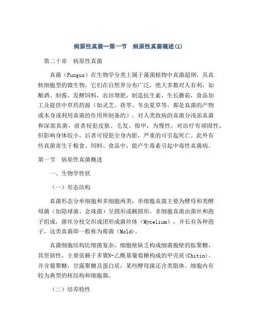 病原性真菌--第一节 病原性真菌概述(1)