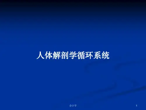 人体解剖学循环系统PPT学习教案