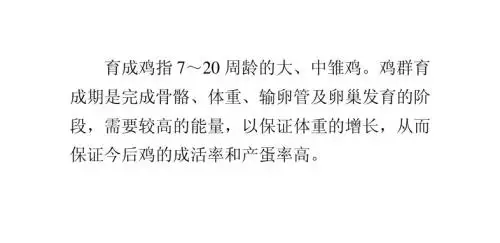 育成鸡饲喂配制四要求