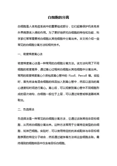 白细胞的分离