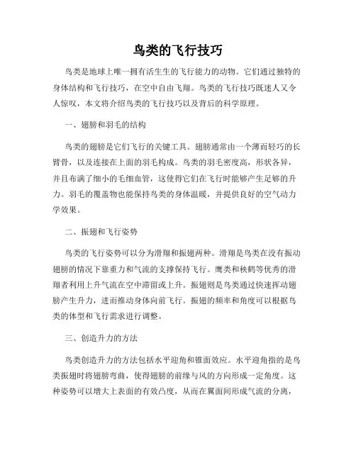 鸟类的飞行技巧
