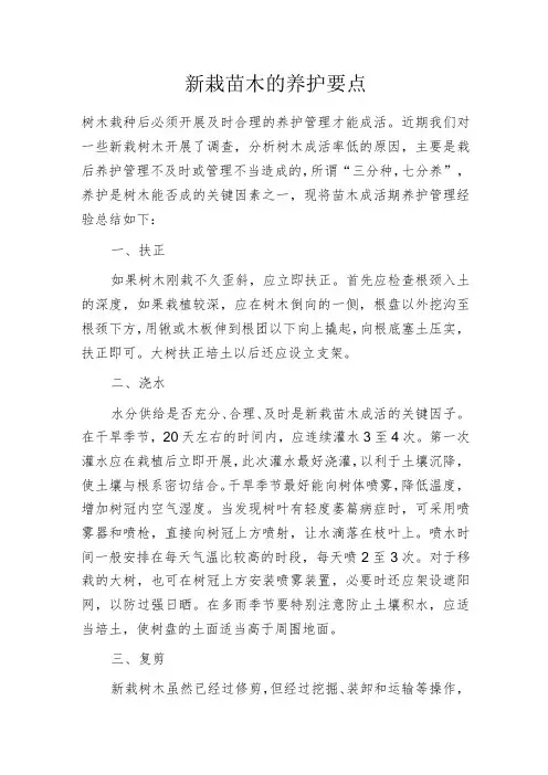 新栽苗木的养护要点
