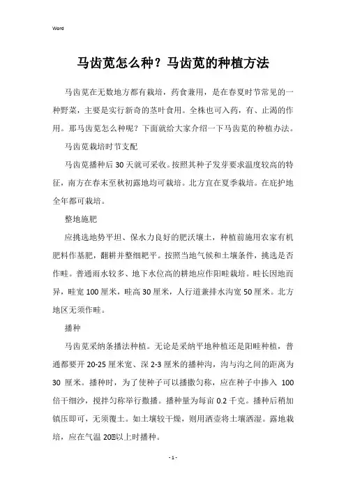 马齿苋怎么种？马齿苋的种植方法