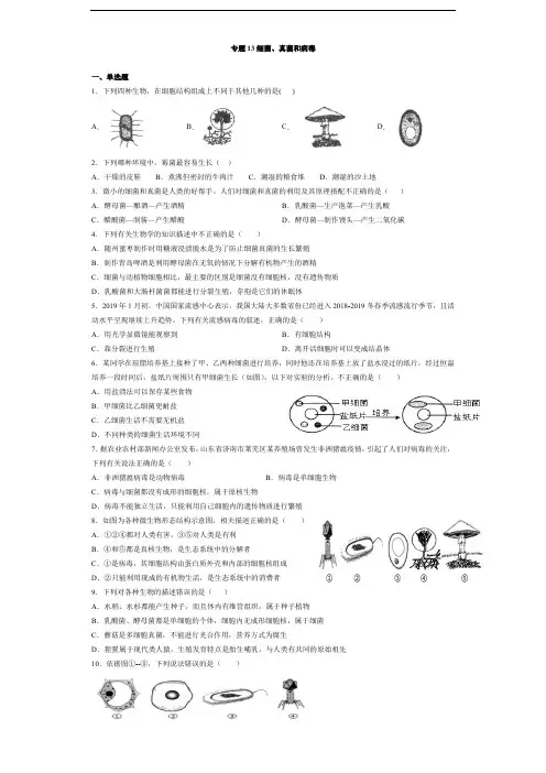专题13 细菌、真菌和病毒(原卷版)