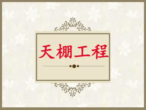 第三章-天棚工程