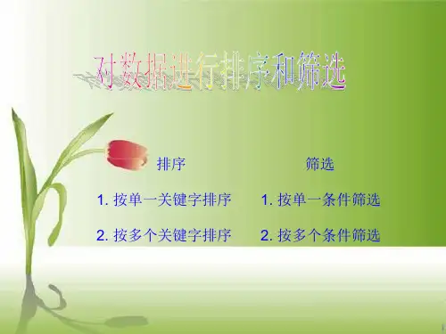 对数据进行排序和筛选课件.ppt