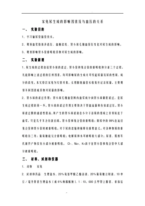 家兔尿生成的影响因素及与血压的关系