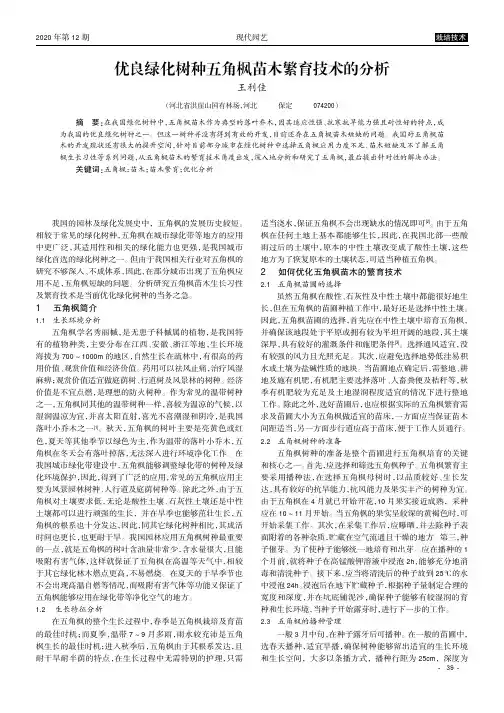 优良绿化树种五角枫苗木繁育技术的分析