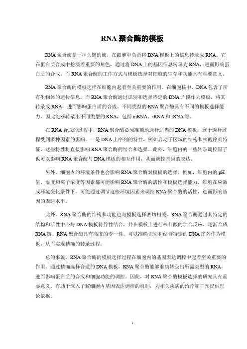 rna聚合酶的模板