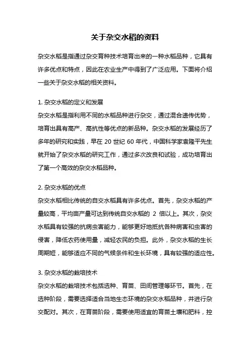 关于杂交水稻的资料
