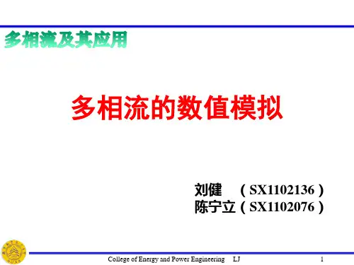 多相流的数值模拟