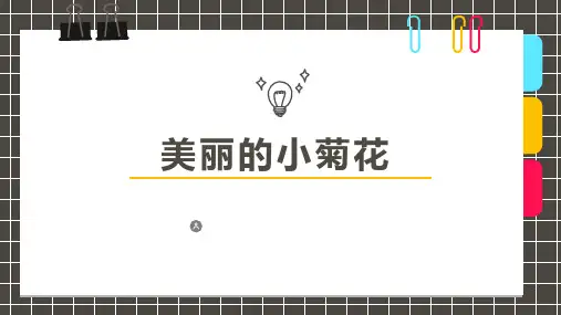 少儿美术创意PPT课件《美丽的小菊花》